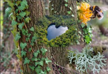 (15/11/2025) Les différentes relations dans la nature