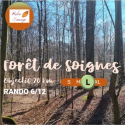 (06/12/2025) Rando - Forêt de Soignes (Large)