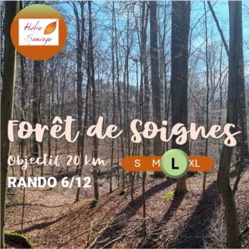 (06/12/2025) Rando - Forêt de Soignes (Large)