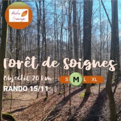 (15/11/2025) Rando - Forêt de Soignes (Medium)