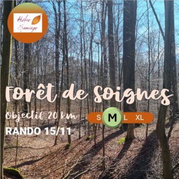 (15/11/2025) Rando - Forêt de Soignes (Medium)