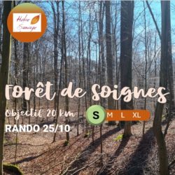 (25/10/2025) Rando - Forêt de Soignes (Small)