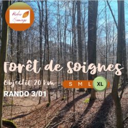 (03/01/2026) Rando - Forêt de Soignes (Extra Large)