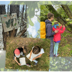 (27/09/2025) Découverte de la forêt par les 5 sens