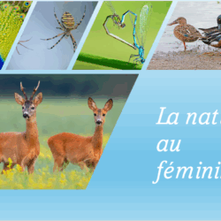 (28/02/2026) La Nature au féminin