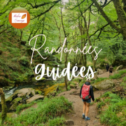 Randonnée guidée