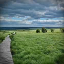 (23-25 mai 2026) Itinérance dans les Hautes Fagnes